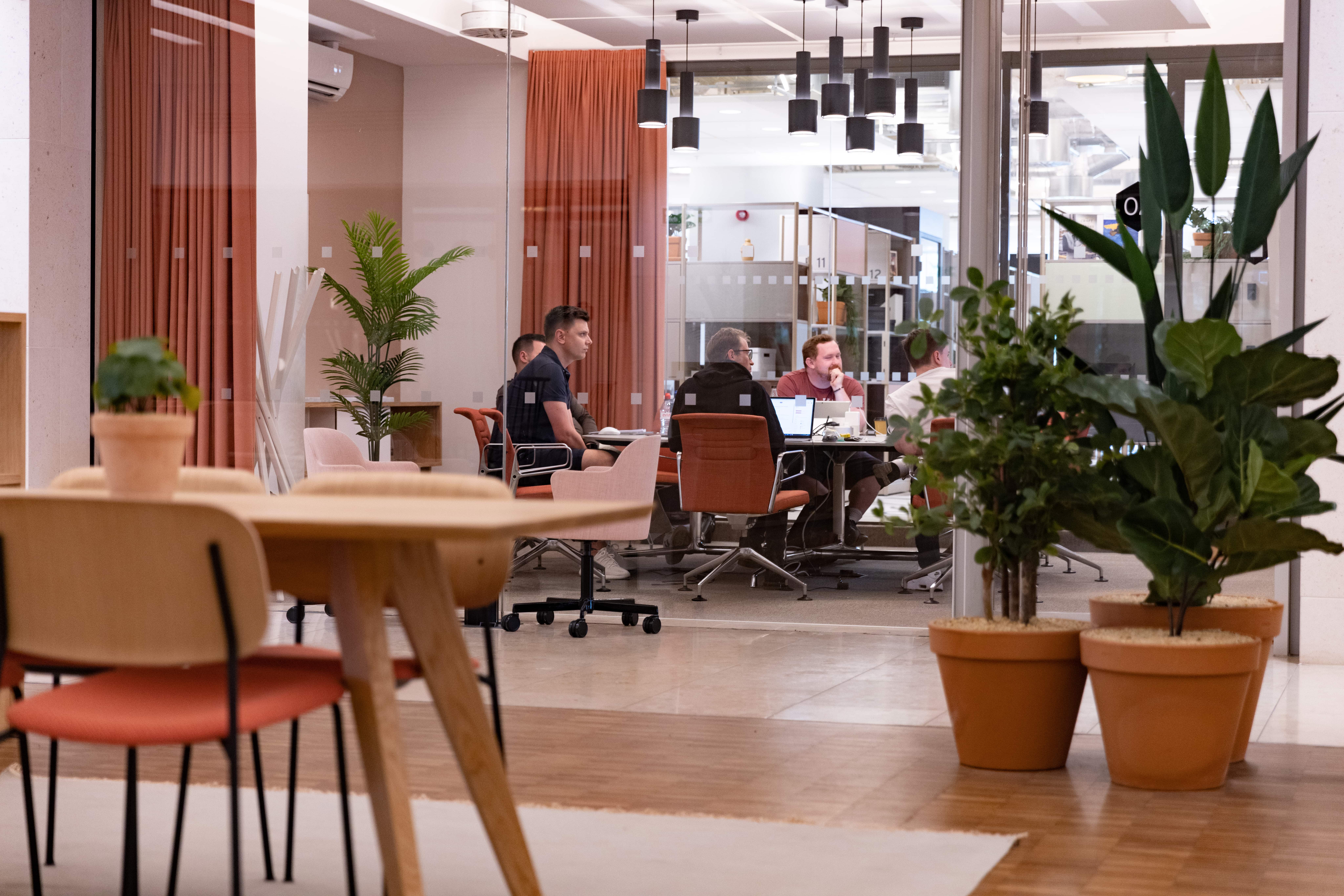 plants and chairs office interior designed by Rhino Interiors.